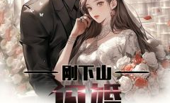 我的高冷女总裁免费阅读,免费阅读背后的商业传奇